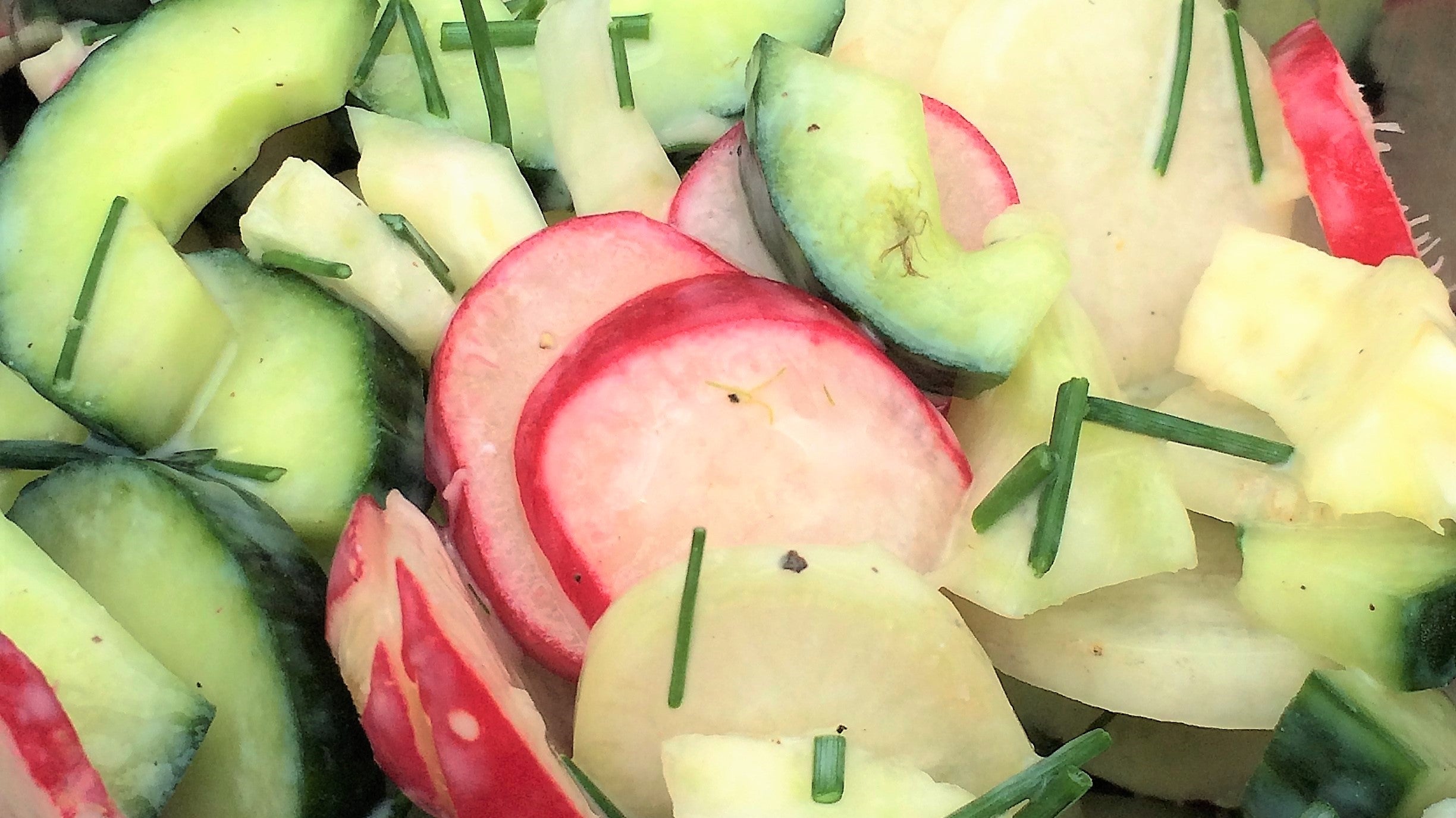 Radijs, Komkommer en Venkel